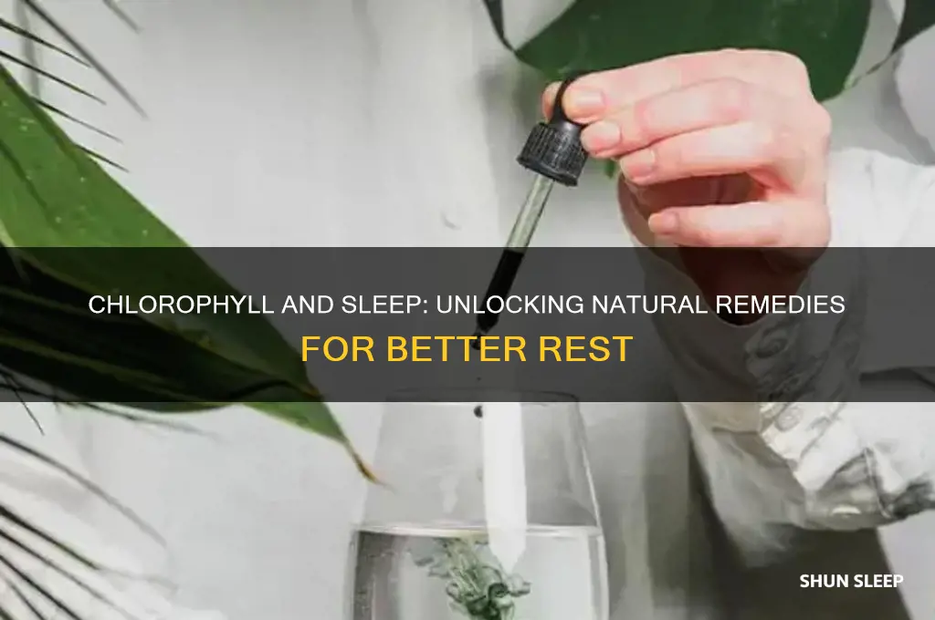 does chlorophyll help with sleep