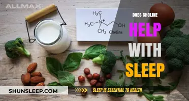 Choline and Sleep: Unlocking Better Rest Through Nutrient Support