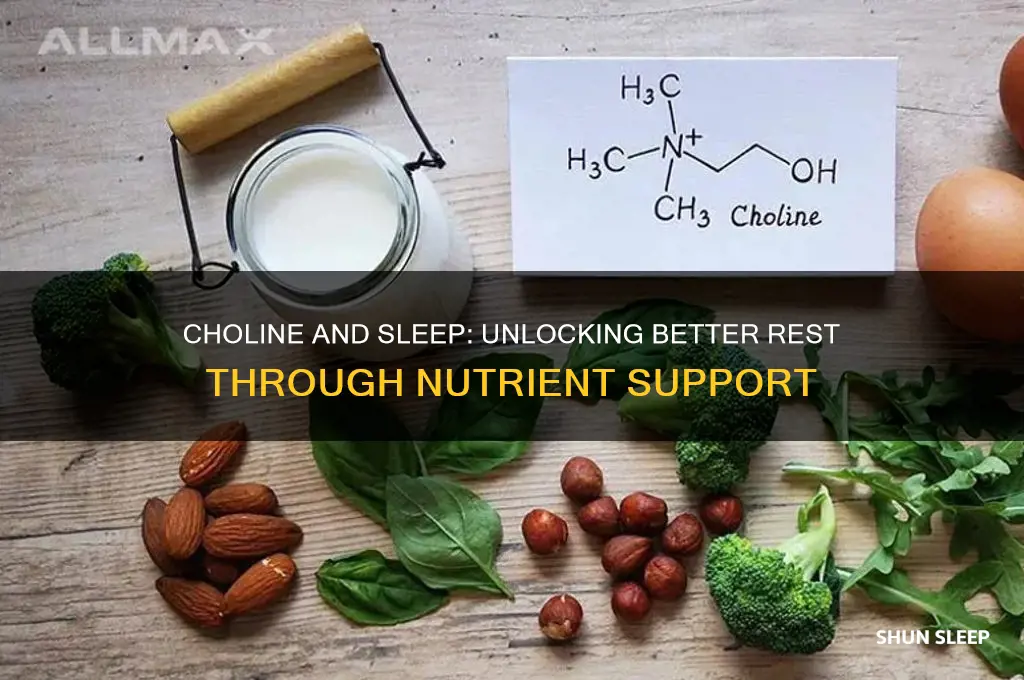 does choline help with sleep