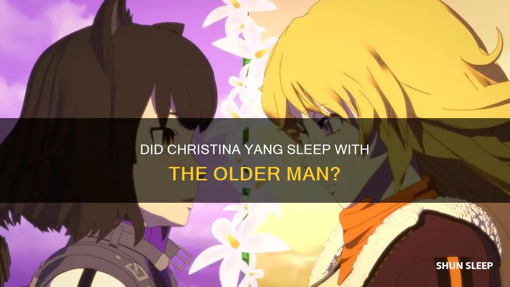 does christina yang sleep with the old guy
