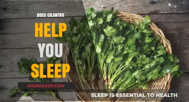 Cilantro and Sleep: Unveiling the Herb's Potential Rest-Enhancing Benefits