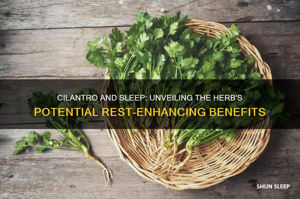 does cilantro help you sleep