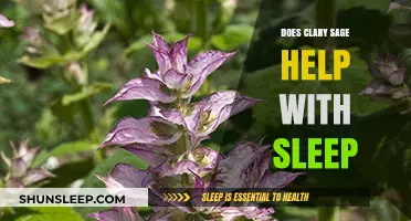 Clary Sage for Sleep: Natural Remedy or Myth?