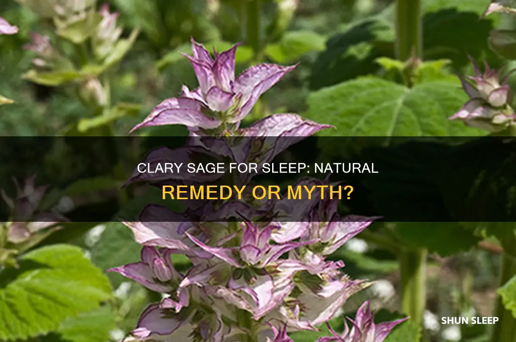 does clary sage help with sleep