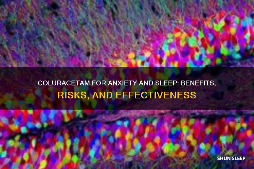 does coluracetam help anxiety and sleep