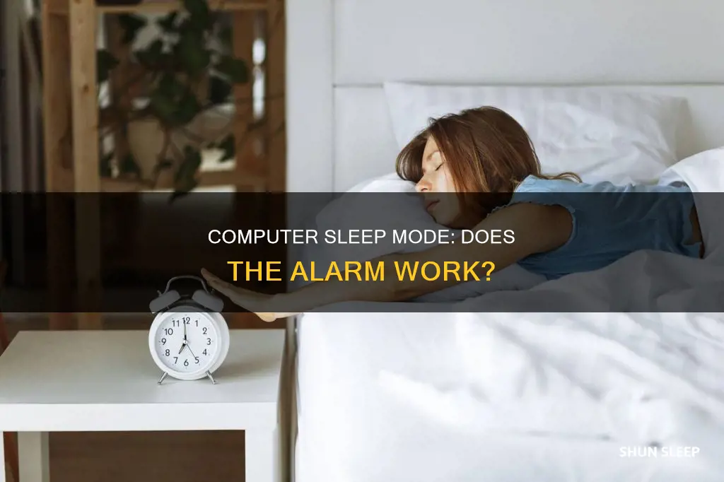 does computer pc alarm work in sleep