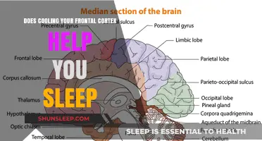 Cooling Your Frontal Cortex: A Sleep Hack or Myth?