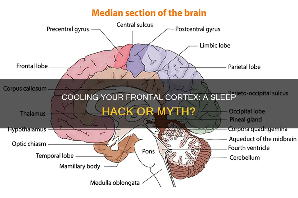 does cooling your frontal cortex help you sleep