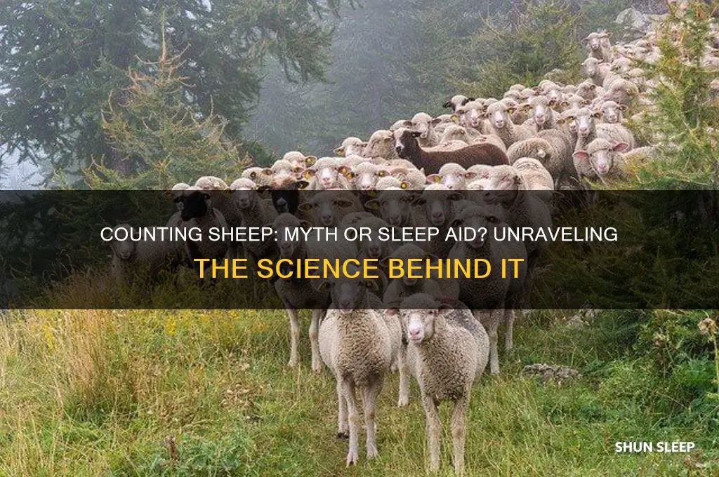 does counting sheep help you sleep