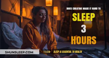 Does Creatine Affect Sleep Quality? A 3-Hour Rest Analysis