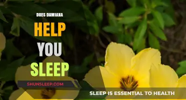 Can Damiana Improve Sleep Quality? Exploring Its Benefits and Effects