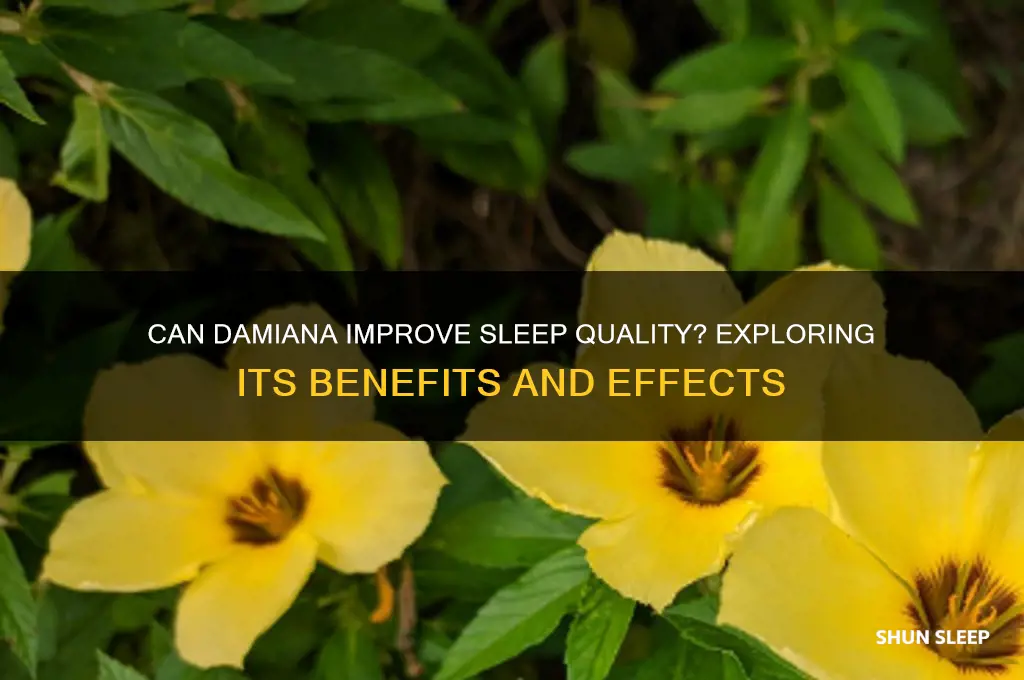 does damiana help you sleep