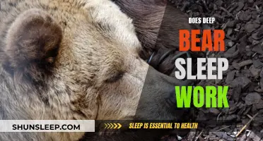 Deep Sleep: Does Deep Bear Sleep Work?