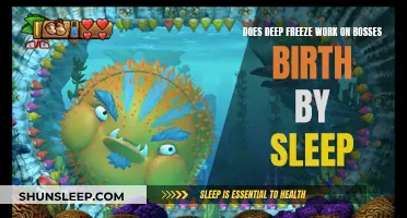 Deep Freeze Effectiveness Against Bosses in Birth by Sleep