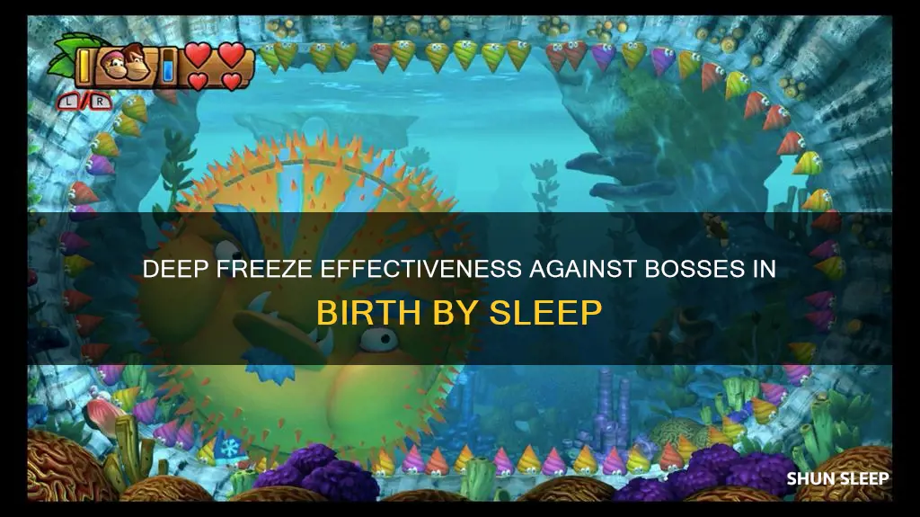 does deep freeze work on bosses birth by sleep
