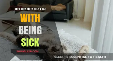 Deep Sleep's Role in Aiding Sick Cats: What Research Shows