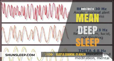Delta Waves: The Key to Deep Sleep