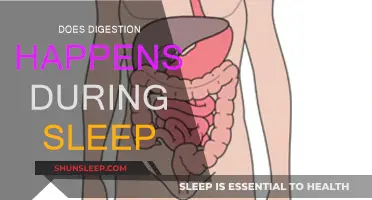 How Sleep and Digestion Are Connected