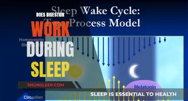 How Sleep and Digestion Work Together