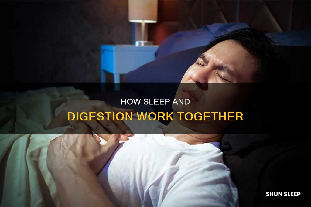 does digestion work during sleep