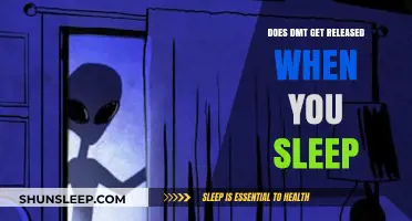 Exploring the Link: DMT Release During Sleep and Dreams