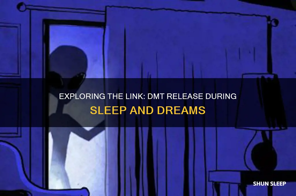 does dmt get released when you sleep