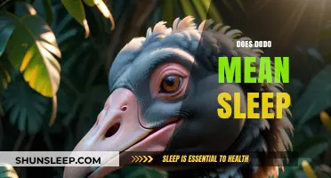 What Dodo Really Means: Sleep or Something Else?