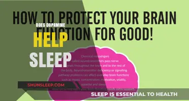 Dopamine's Role in Sleep: Enhancing Rest or Hindering Slumber?