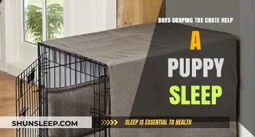 Draping the Crate: A Puppy Sleep Aid or Hindrance?