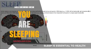 Dreaming: Sleep's Meaningful Companion