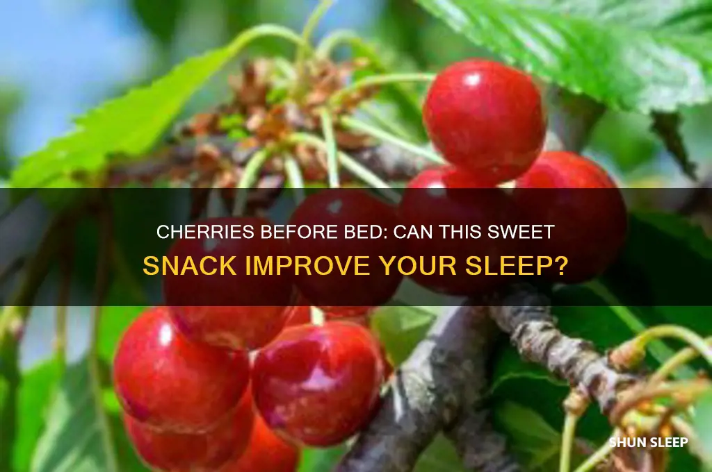 does eating cherries at night help you sleep