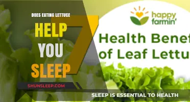 Lettuce and Sleep: Exploring the Link for Better Rest