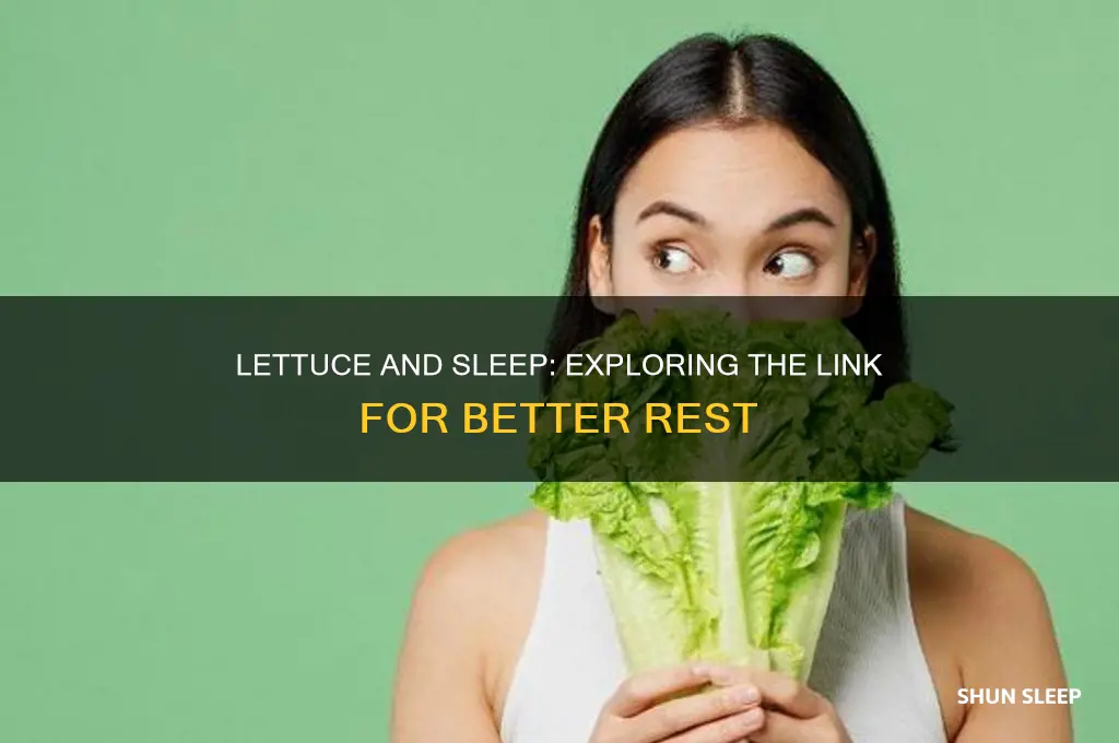 does eating lettuce help you sleep