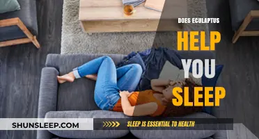 Eucalyptus for Sleep: Benefits, Uses, and Effective Remedies Explained