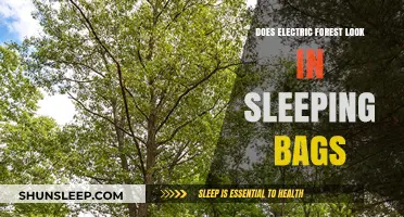 Electric Forest Camping: Sleeping Bags a Good Idea?