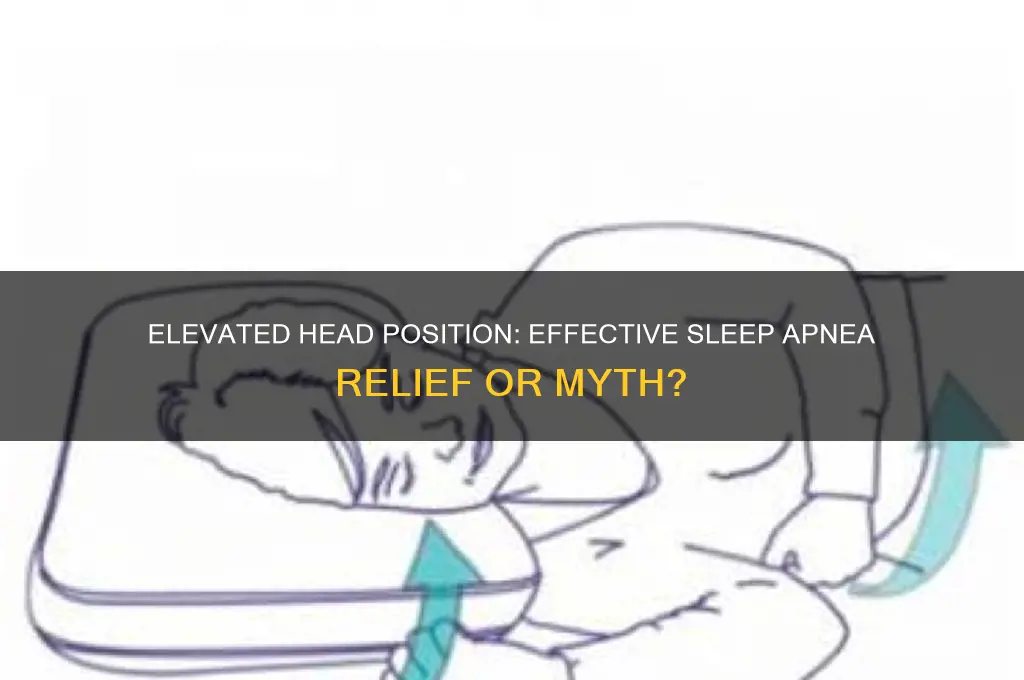 does elevated head help sleep apnea