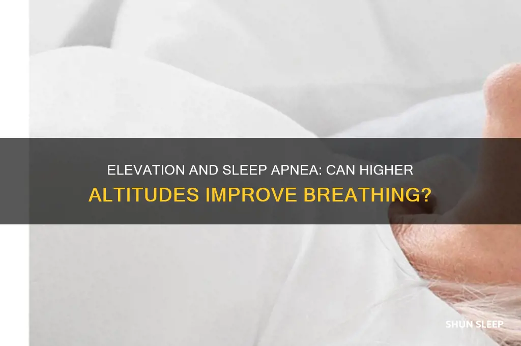 does elevation help sleep apnea