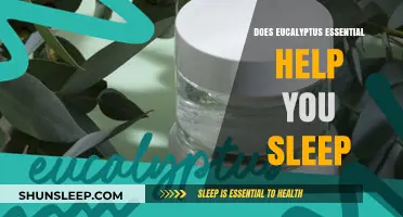 Eucalyptus Essential Oil: A Natural Sleep Aid or Myth?
