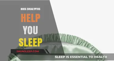 Eucalyptus for Sleep: Unlocking Relaxation and Better Rest Naturally