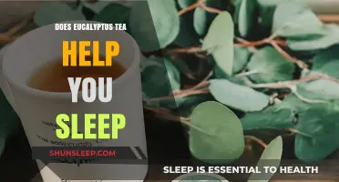 Eucalyptus Tea for Sleep: Benefits, Uses, and Relaxation Tips