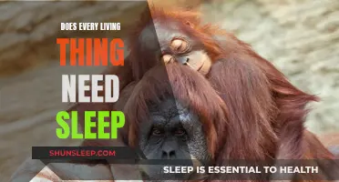 The Science of Sleep: Why Living Things Need It
