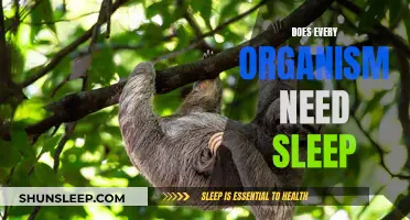Sleep: A Universal Need?