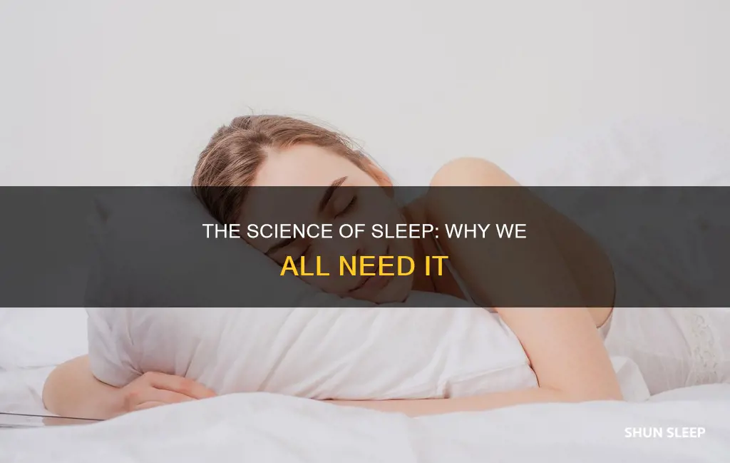 does everyone need sleep