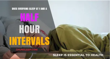 Unraveling the Myth: Do We All Sleep in 1.5-Hour Intervals?
