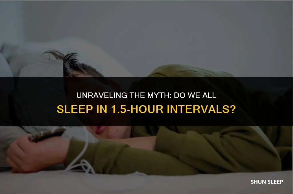 does everyong sleep at 1 and a half hour intervals