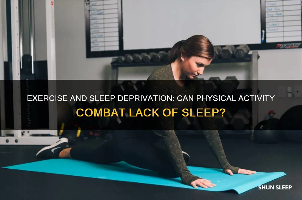 does exercise help lack of sleep