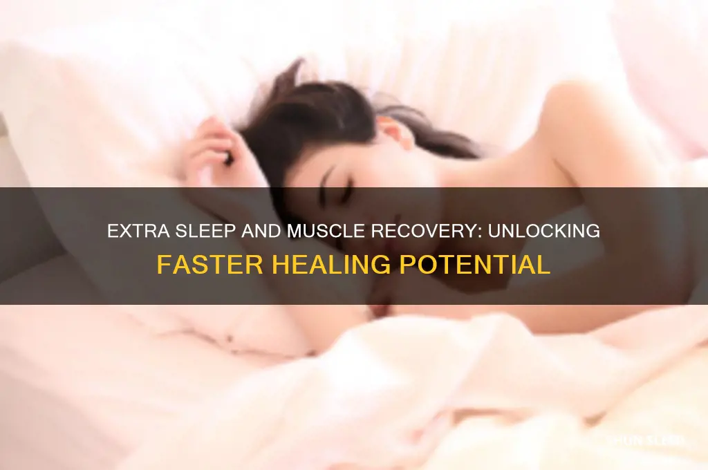 does extra sleep help muscles recover