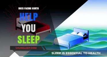 Does Facing North Improve Sleep Quality? Exploring the Science and Myths