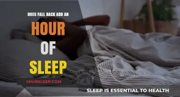 Does Fall Back Really Add an Hour of Sleep? Unraveling the Myth