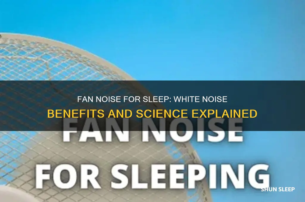 does fan noise help sleep